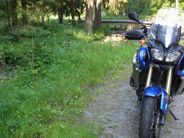 die Reisebegleiterin...