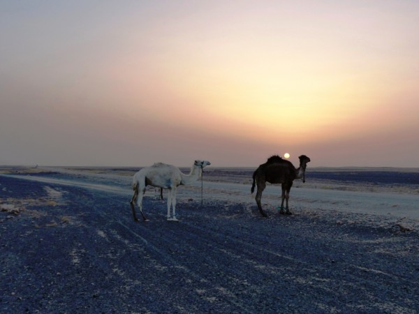 2 Dickschiffe mit je 1 KS