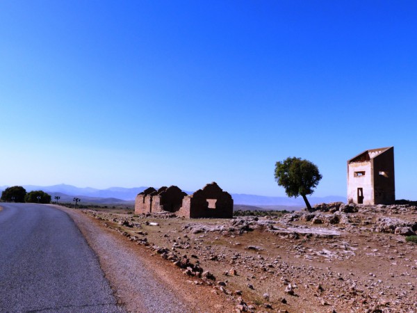 eines meiner Lieblingsbilder vom heißen Tag