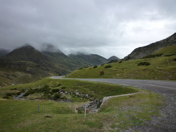 20150814_130510.JPG