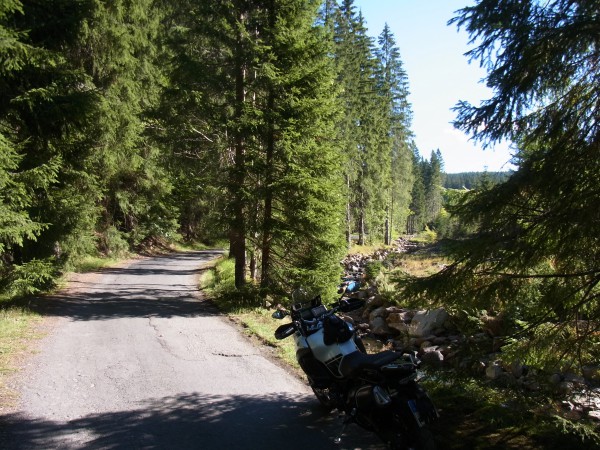 im Schwarzwassertal - tschechische Seite
