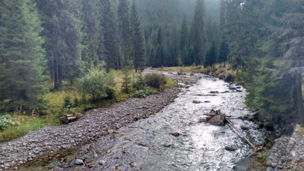 Fluss auf der Transalpina