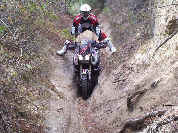 XT1200_offroad.jpg