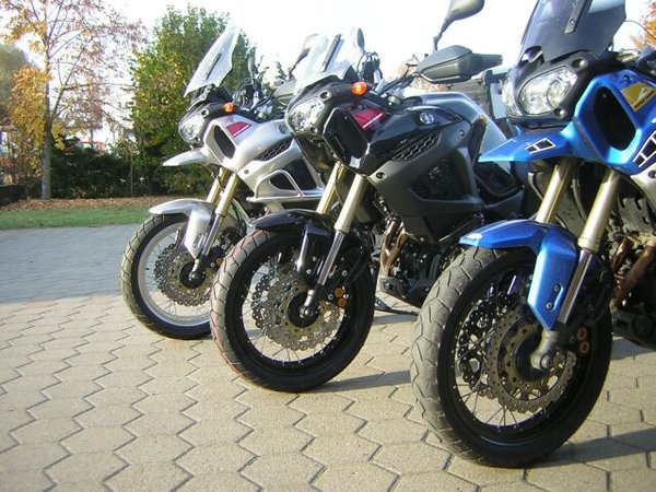 XT Schnabel.jpg