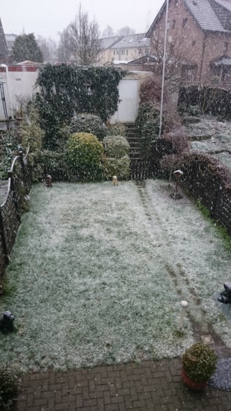 DSC_0034.JPG (418.31 KiB) 14489 mal betrachtet ....nur nicht hier!!!