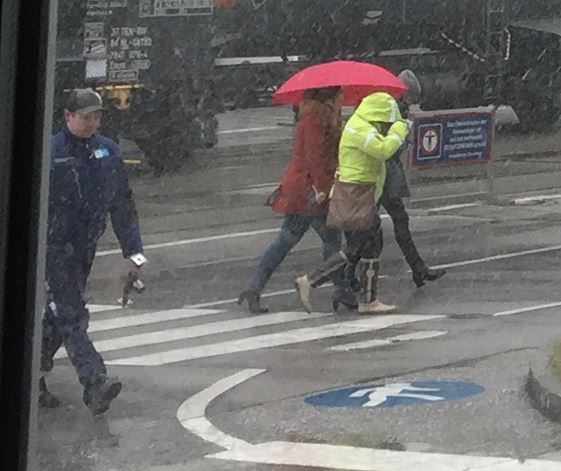 Scheißwetter..JPG