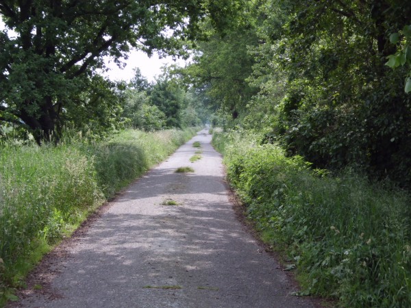 022 Spreewald.JPG