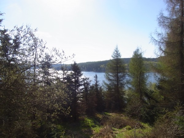 rau und schön- See zw Jiretin und Kliny...