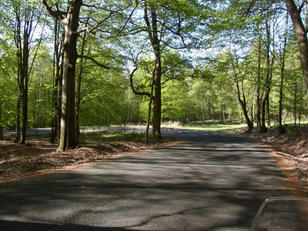 Kurvenfreude bei Krizatky...