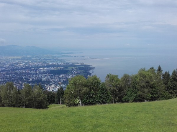 20160625_105057.jpg
