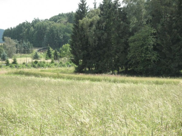 Eifel 4.jpg