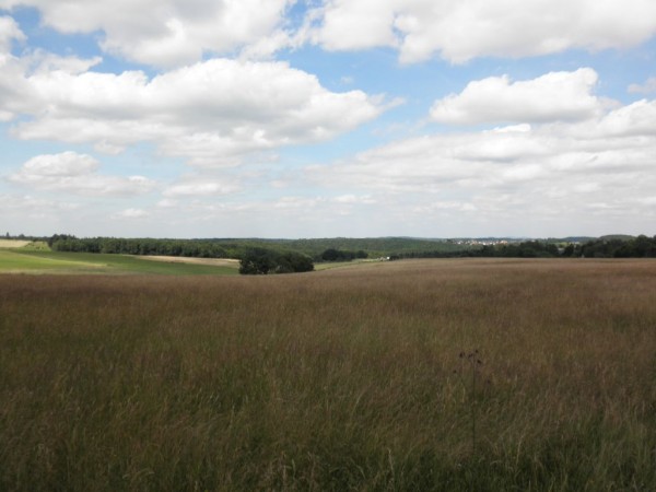 Eifel 5.jpg