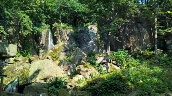 WP_20160716_16_54_06_Pro.jpg (312.84 KiB) 3868 mal betrachtet ... und das isser!