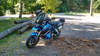 Pfälzerwald2.jpg