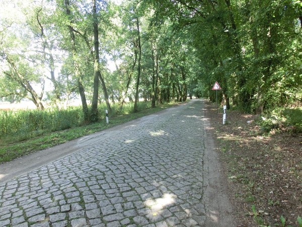 Auf kleinsten Strässchen wieder zur Elbe.