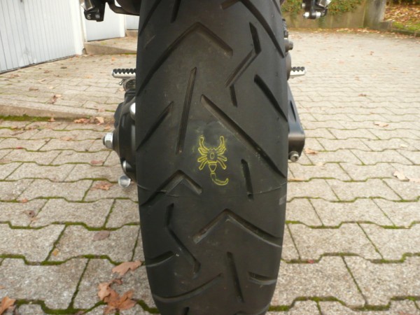 151108-Scorpion3.JPG
