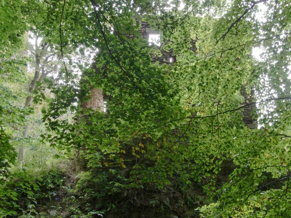 langsam schälen sich erste Ruinen aus dem tschechischen Wald...