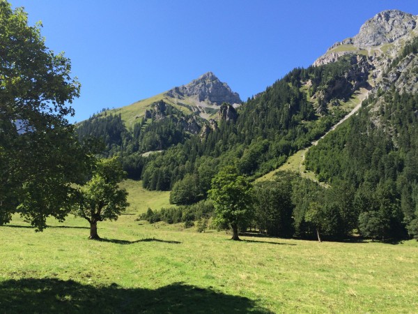 image.jpeg (268.15 KiB) 3654 mal betrachtet In der Eng