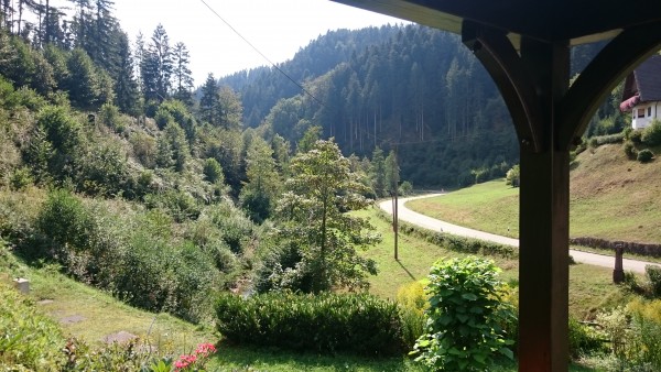 Kurz vorm Hotel, etwa 60 km