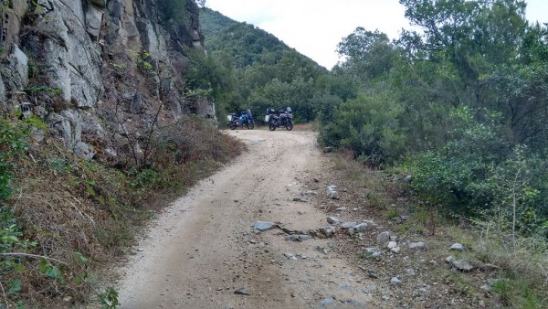 Panta de Susqueda7.jpg