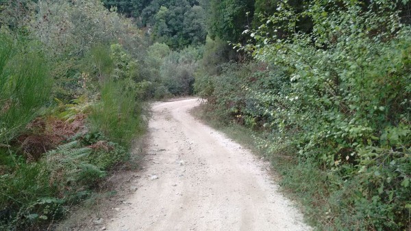 Panta de Susqueda8.jpg