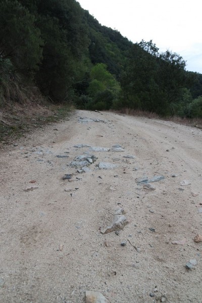 Panta de Susqueda9.JPG