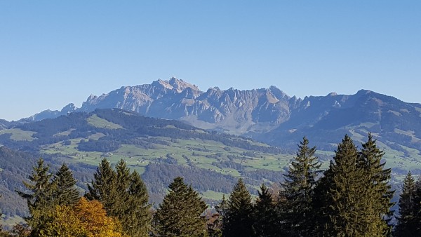 20161016_143915.jpg