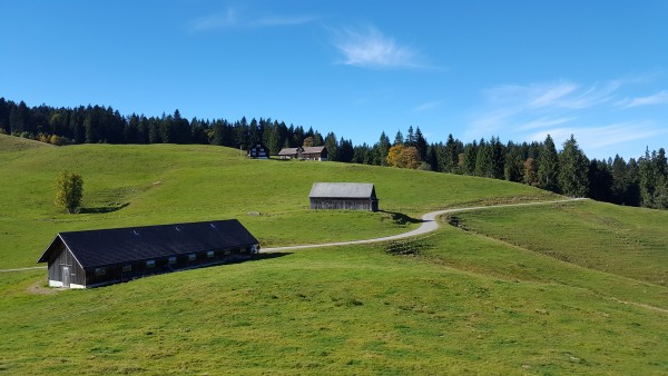 20161016_142627.jpg