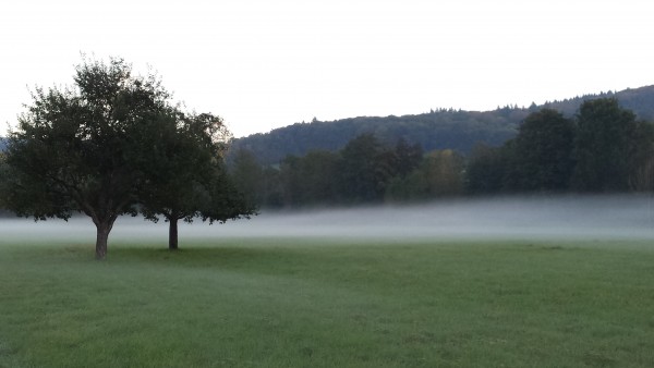 das Taubertal mit Nebelschwaden