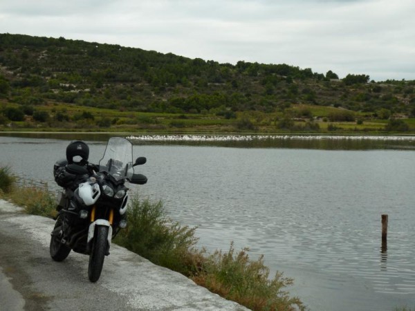 15.Vögel mit einem Bein.JPG