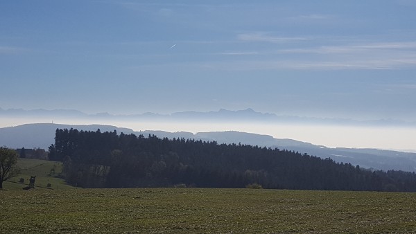 20161030_124312.jpg