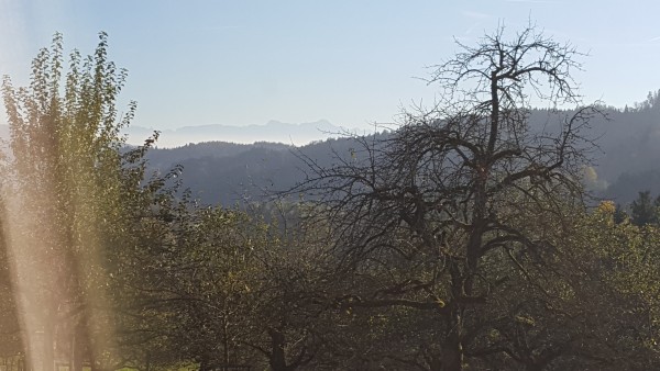 20161030_151918.jpg