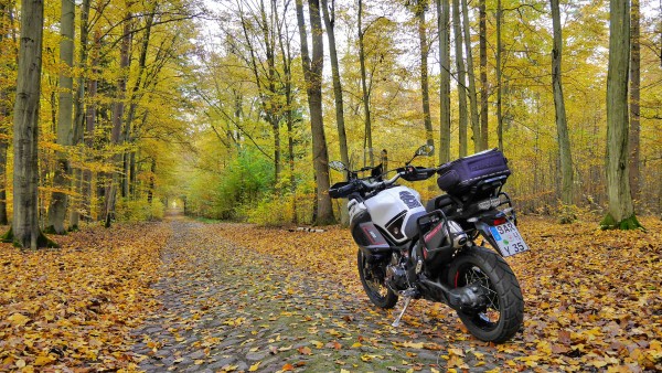 Herbst 3.jpg
