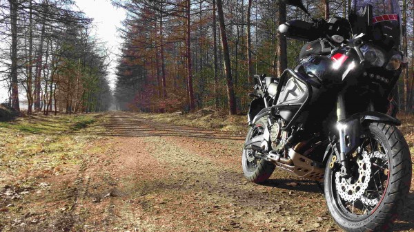 Waldweg irgendwo bei Meppen