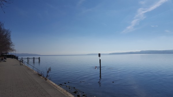 20170225_124825.jpg