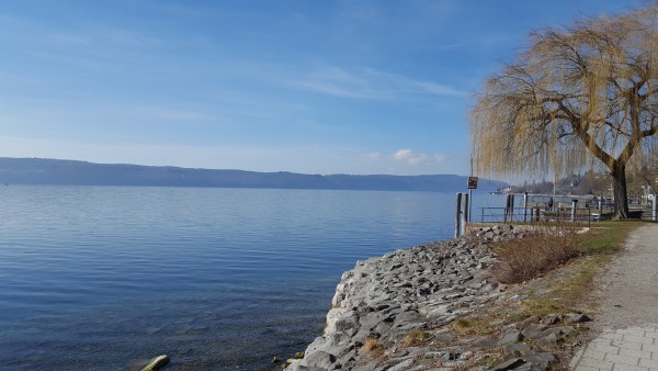 20170225_124834.jpg