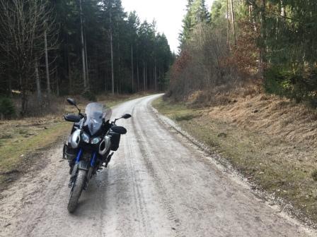 Hirschwald 02.JPG