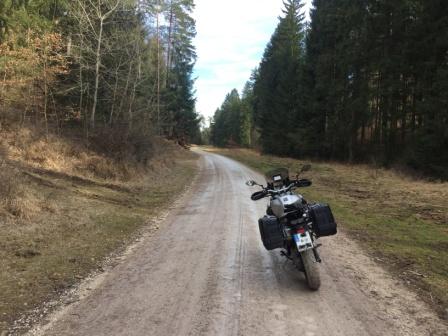 Hirschwald 01.jpg