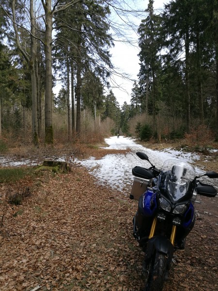 Auf dem Hoherodskopf