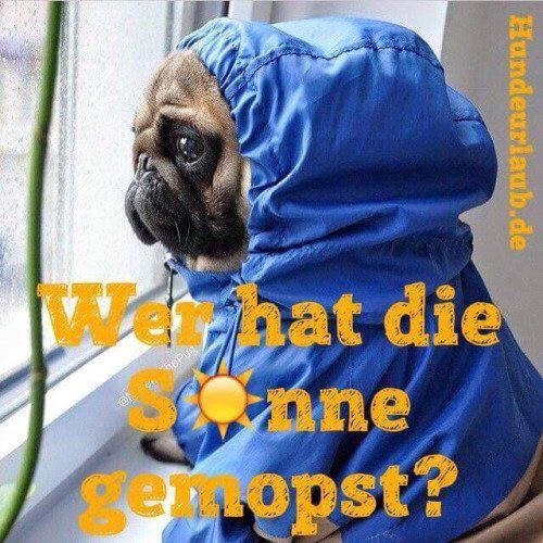 Nicht dass du wieder so schaust