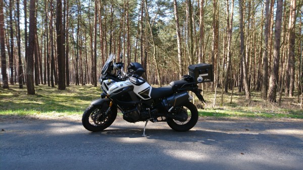 DSC_1969-1.jpg