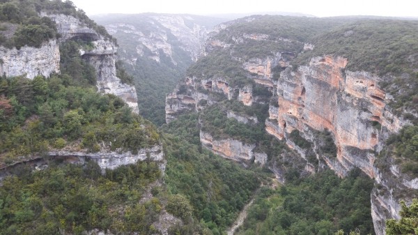 tmp_16233-20170604_154603_resized_11814222765.jpg (339.6 KiB) 4056 mal betrachtet de Guara