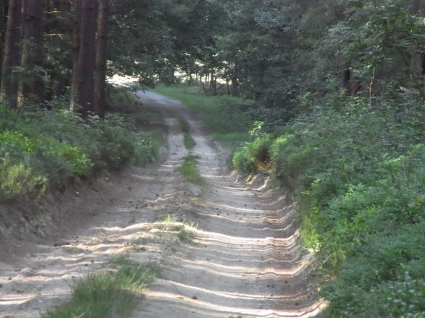 &quot;Dorfstrasse&quot; hinter Altsorgefeld...knöcheltiefer Sand sorg für Unruhe bei der Dicken und Adrenalin bei mir