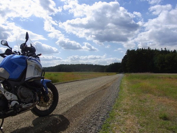 wunderschöne Heidelandschaft in der Nähe von Kolpien...