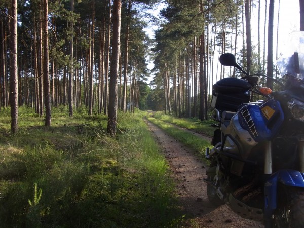 ganz normale Strasse :)...hier hinter Schwarzenburg...