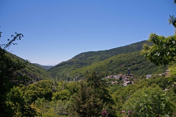 Ein Wald komplett mit Esskastanien / <br />http://www.openstreetmap.org/?mlat=43.405278&amp;mlon=2.539722&amp;zoom=15#map=15/43.4053/2.5397