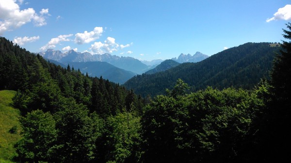 DSC_0001.jpg