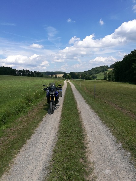 In der Nähe der Enzianhütte in der Röhn
