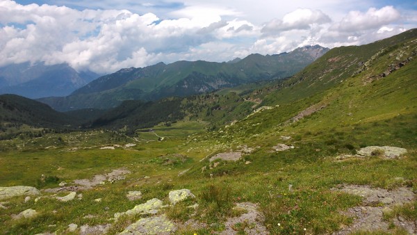 DSC_0016.jpg