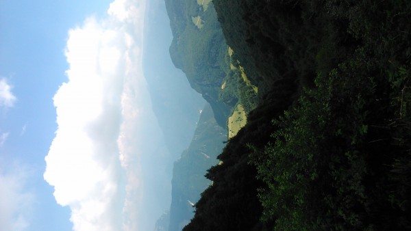 DSC_0015.jpg
